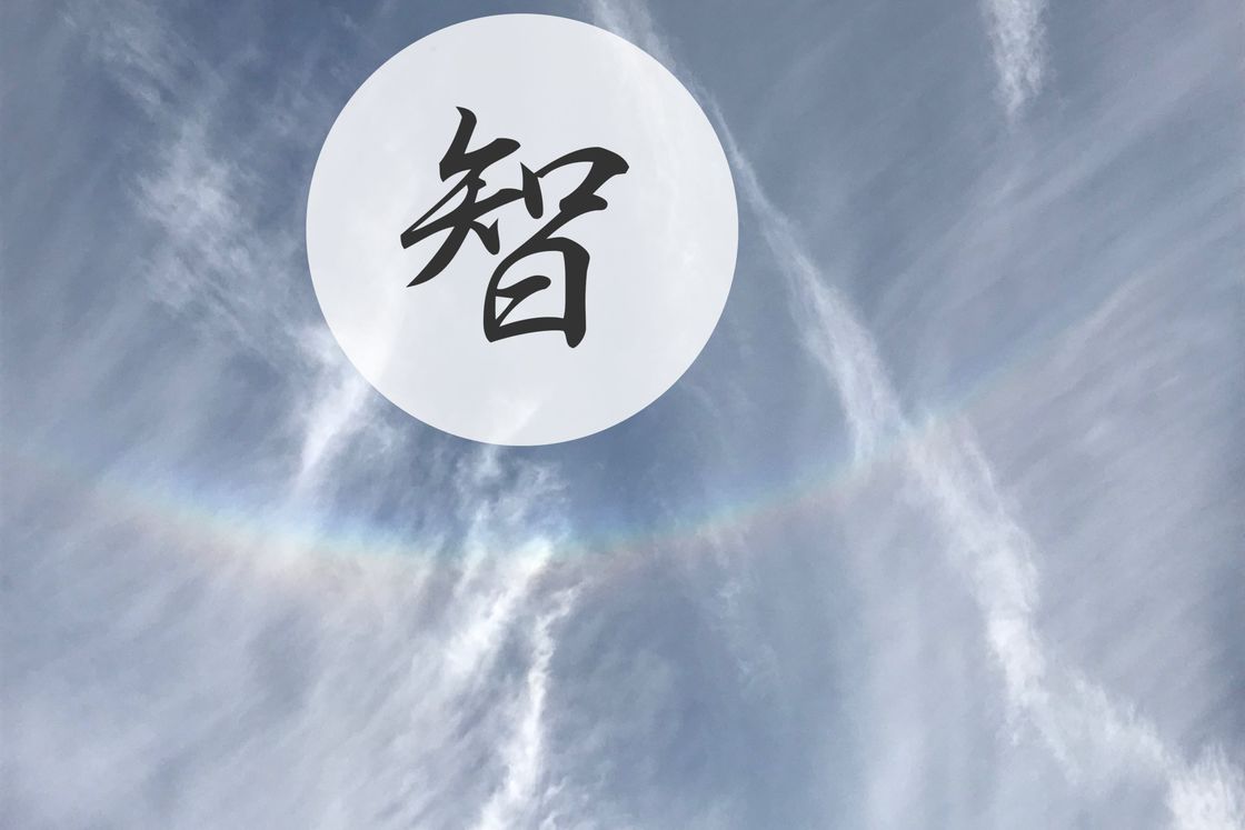 智